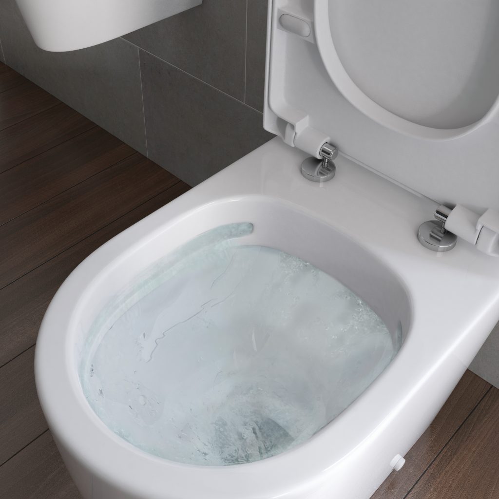 Cilantro-Rimless-WC-Flush-1024×1024